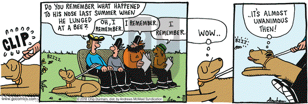 Overboard on Wednesday July 18, 2018 Comic Strip