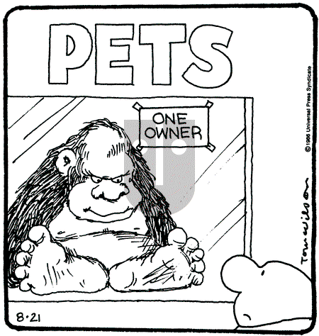 Ziggy - Thursday August 21, 1986 Comic Strip