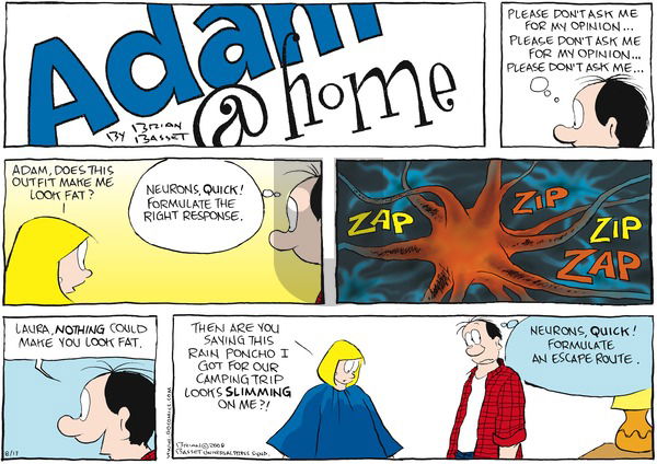 Adam@Home on Sunday August 17, 2008 Comic Strip
