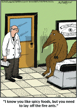 Close to Home on Tuesday January 28, 2025 Comic Strip