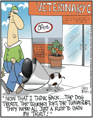 The Flying McCoys on Wednesday January 16, 2019 Comic Strip
