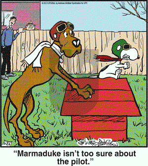 Marmaduke - Saturday November 26, 2022 Comic Strip