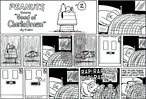 Peanuts - Sunday June 4, 1967 Comic Strip