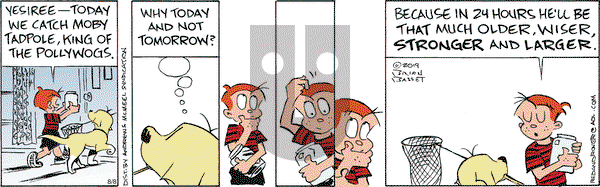 Red and Rover - Monday August 8, 2022 Comic Strip