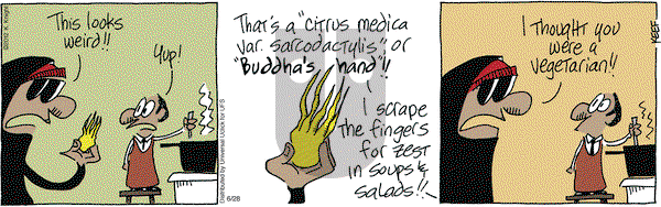 The Knight Life on Thursday June 28, 2012 Comic Strip