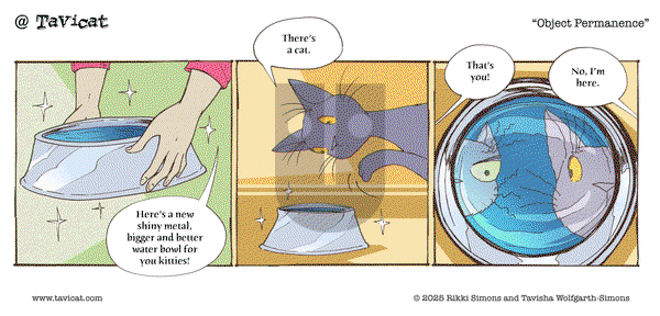 @Tavicat on Tuesday June 3, 2025 Comic Strip