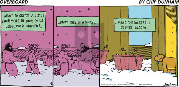 Overboard - Sunday February 5, 2023 Comic Strip