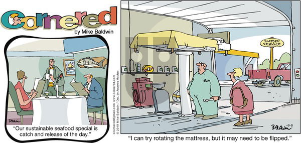 Cornered on Sunday September 8, 2019 Comic Strip