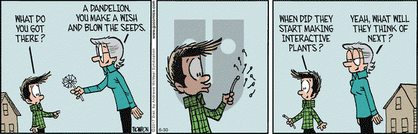 Grand Avenue on Tuesday June 30, 2020 Comic Strip