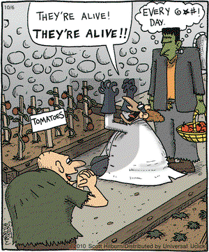 The Argyle Sweater - Wednesday October 6, 2010 Comic Strip