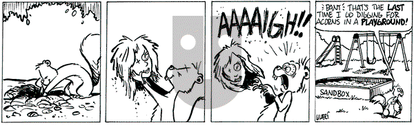 Buckles - Thursday August 1, 2024 Comic Strip