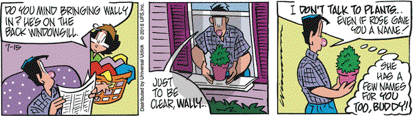 Rose is Rose on Friday July 15, 2016 Comic Strip