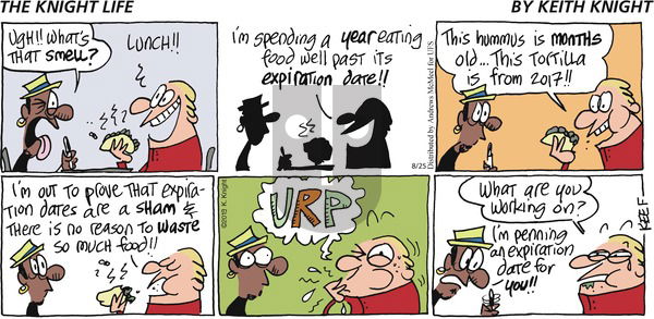 The Knight Life on Sunday August 25, 2019 Comic Strip