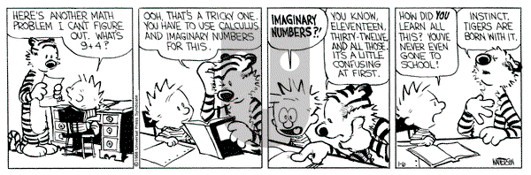 Calvin and Hobbes on Wednesday January 6, 1988 Comic Strip