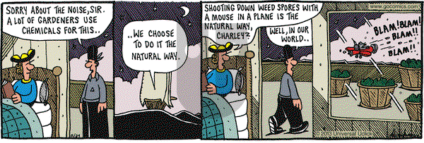 Overboard on Saturday June 29, 2013 Comic Strip