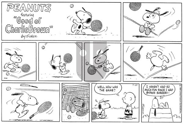 Peanuts on Sunday July 29, 1984 Comic Strip