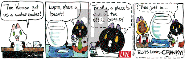 Breaking Cat News - Monday November 11, 2024 Comic Strip