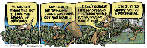 Bob the Squirrel on Tuesday May 27, 2025 Comic Strip