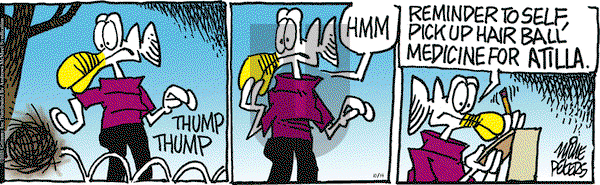 Mother Goose and Grimm on Tuesday October 14, 2025 Comic Strip