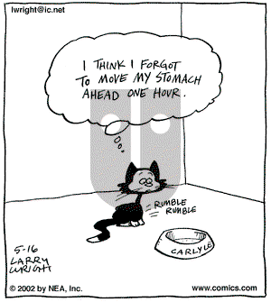 Kit 'N' Carlyle on Thursday May 16, 2002 Comic Strip