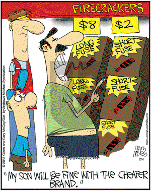 The Flying McCoys on Wednesday July 4, 2018 Comic Strip