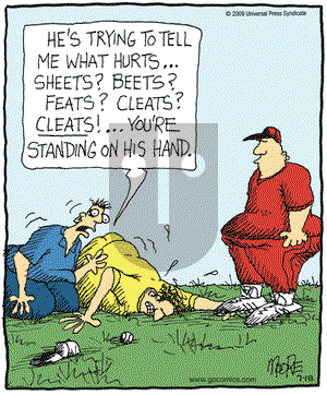 In the Bleachers on Saturday July 18, 2009 Comic Strip