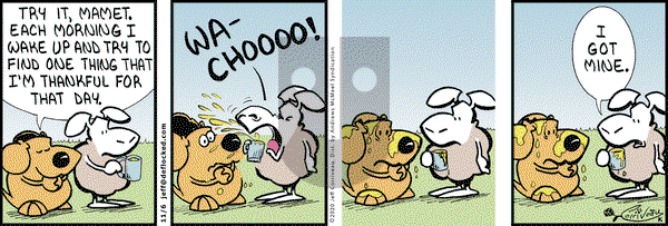 DeFlocked on Friday November 6, 2020 Comic Strip