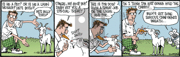 Monty on Wednesday July 5, 2017 Comic Strip