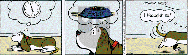 Fred Basset on Wednesday October 30, 2013 Comic Strip