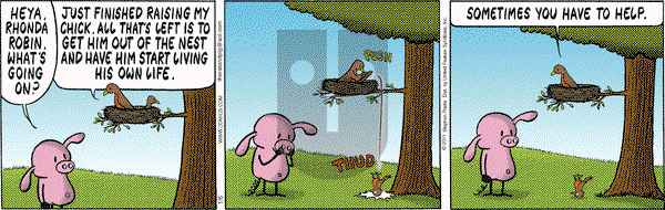 Pearls Before Swine on Thursday January 6, 2011 Comic Strip