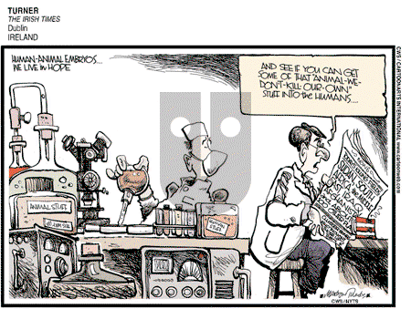 ViewsEurope on Tuesday May 27, 2008 Comic Strip
