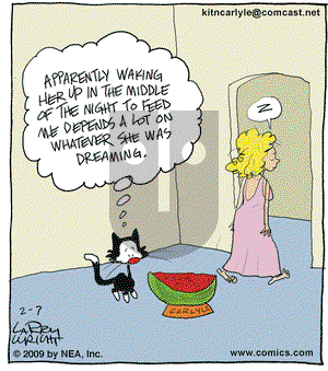 Kit 'N' Carlyle on Saturday February 7, 2009 Comic Strip