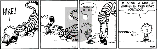 Calvin and Hobbes - Saturday November 12, 1988 Comic Strip
