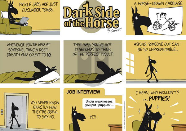 Dark Side of the Horse on Sunday December 7, 2025 Comic Strip