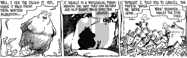 The Grizzwells on Thursday May 2, 1996 Comic Strip