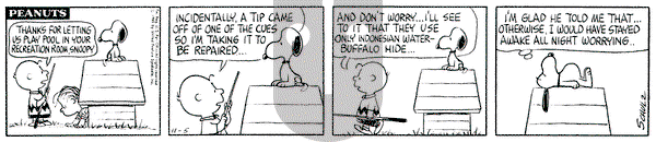 Peanuts on Friday November 5, 1965 Comic Strip