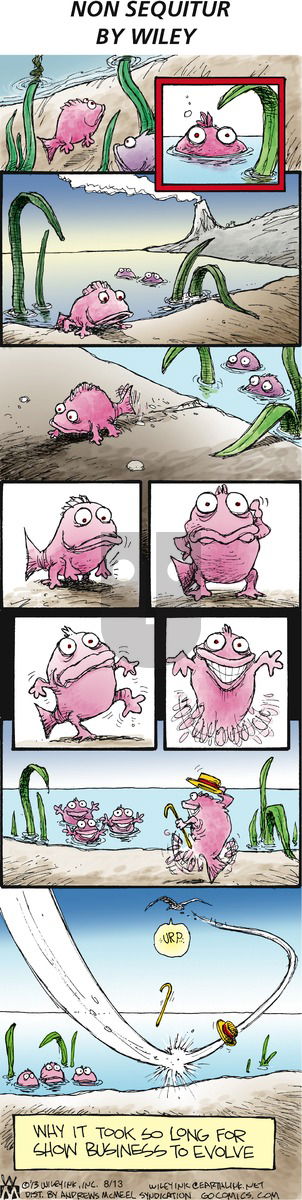 Non Sequitur on Sunday August 13, 2017 Comic Strip