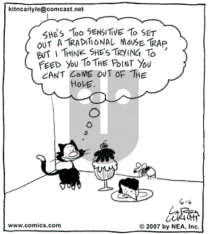 Kit 'N' Carlyle on Wednesday June 6, 2007 Comic Strip