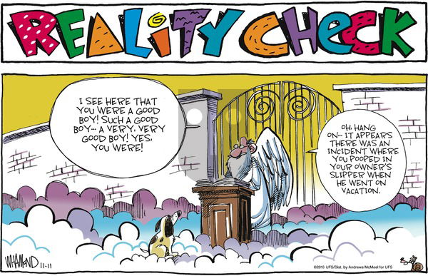 Reality Check on Sunday November 11, 2018 Comic Strip