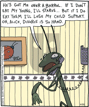 The Argyle Sweater on Friday April 30, 2010 Comic Strip