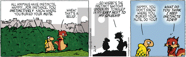 Over the Hedge on Tuesday September 15, 2009 Comic Strip