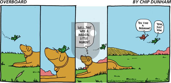 Overboard on Sunday July 23, 2017 Comic Strip