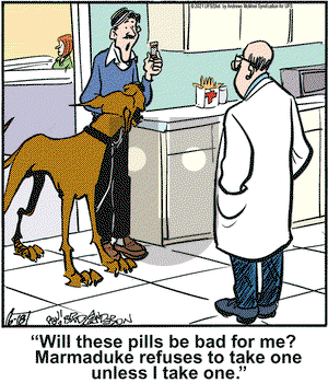 Marmaduke on Friday June 18, 2021 Comic Strip