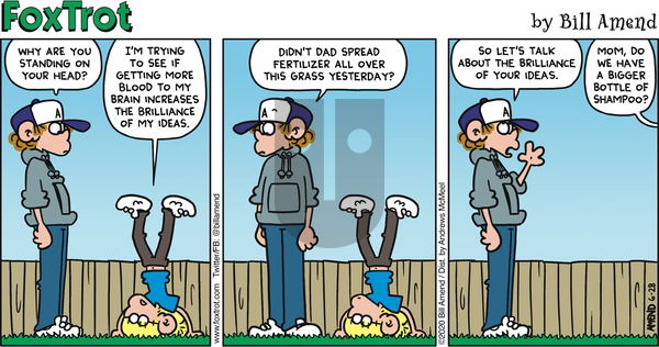 FoxTrot on Sunday June 28, 2020 Comic Strip