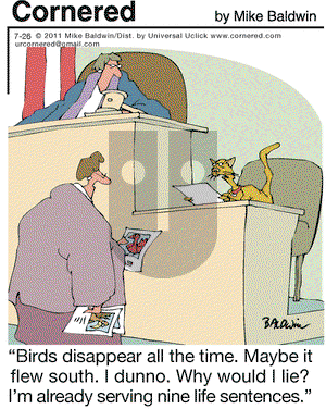 Cornered on Tuesday July 26, 2011 Comic Strip