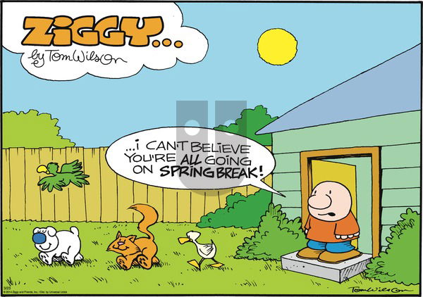 Ziggy - Sunday March 23, 2014 Comic Strip