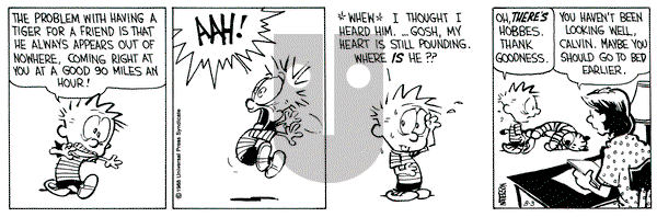Calvin and Hobbes on Wednesday August 3, 1988 Comic Strip