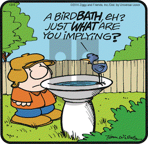 Ziggy on Thursday December 4, 2014 Comic Strip