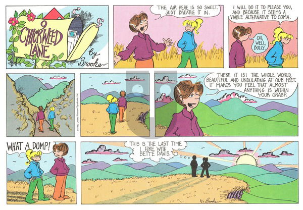 9 Chickweed Lane on Sunday August 22, 1993 Comic Strip