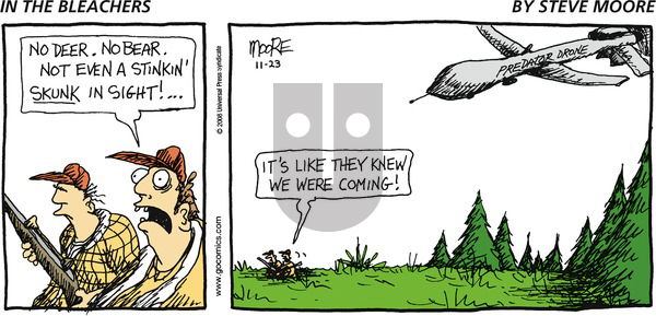 In the Bleachers on Sunday November 23, 2008 Comic Strip